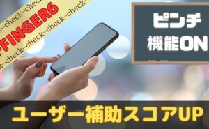 AFFINGER6でピンチ機能をオンにしてユーザー補助スコアアップ